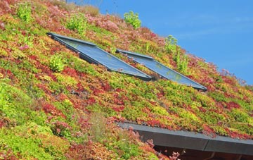 Old Church Stoke living roof systems